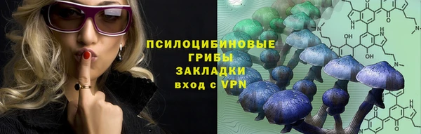 a pvp Аркадак