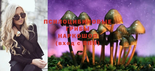 a pvp Аркадак
