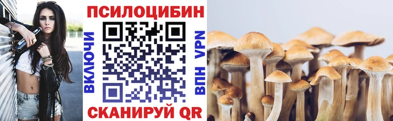 Купить закладки  Людиново  Галлюциногенные грибы MAGIC MUSHROOMS 